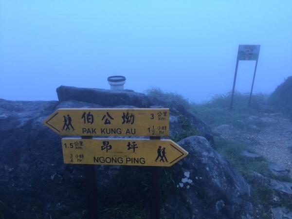 糯米是个全能选手,甜的咸的,它都能驾驭,这些你都吃过么?